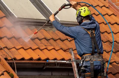 Démoussage et hydrofuge de toiture à Izernore